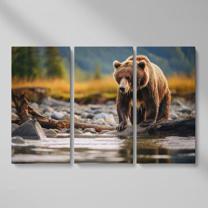 Brown Bear Hunting Fish Canvas Print as 3-panel split version