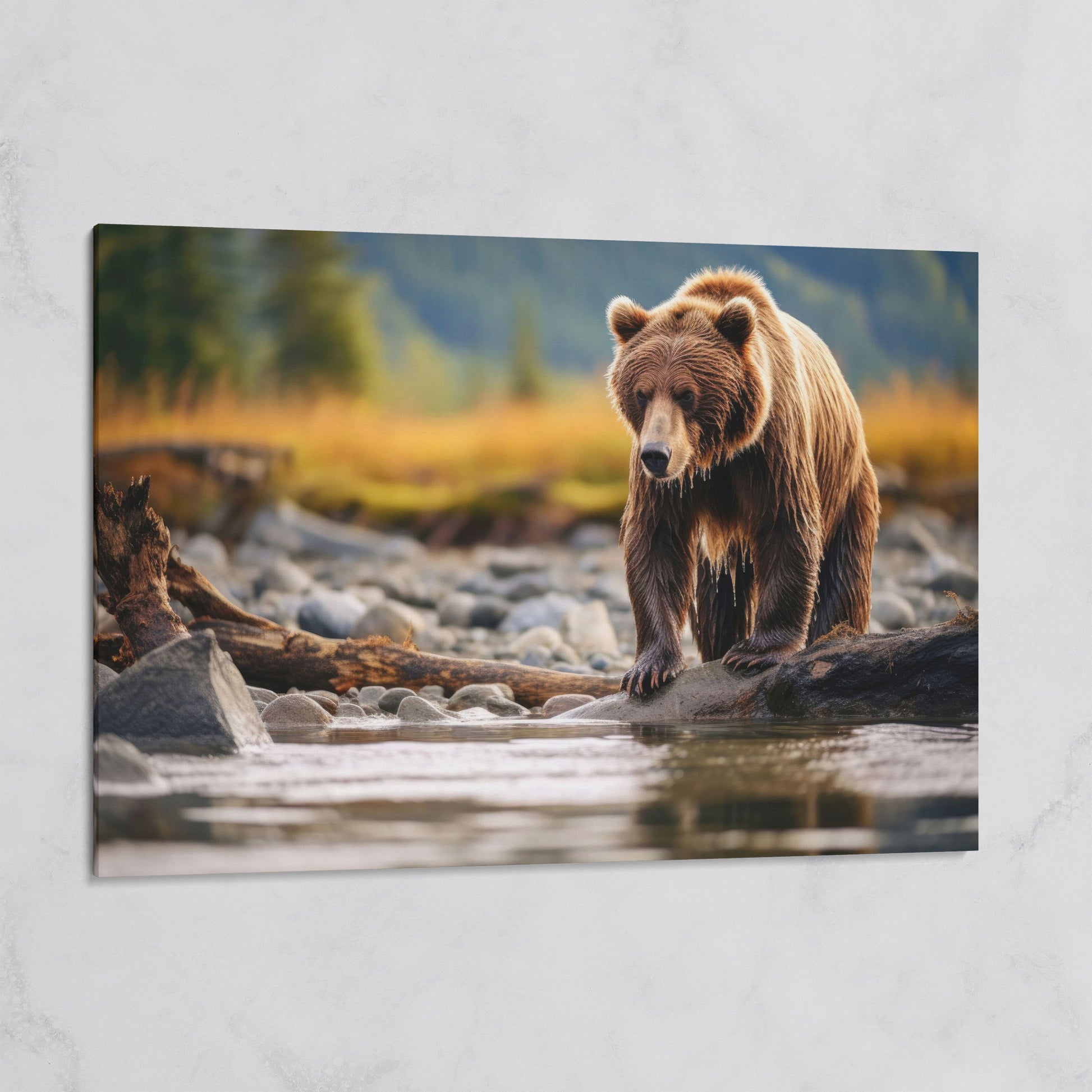Brown Bear Hunting Fish Canvas Print on gallery wrap