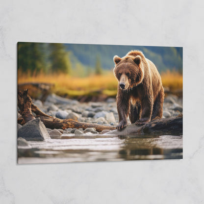 Brown Bear Hunting Fish Canvas Print on gallery wrap
