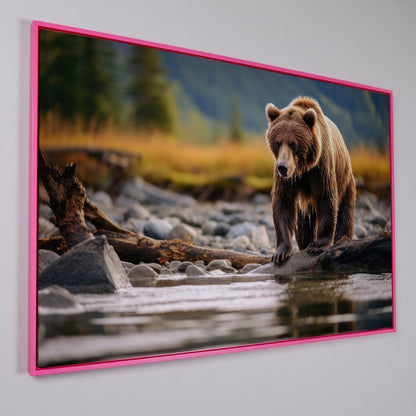 Brown Bear Hunting Fish Canvas Print in pink floating frame
