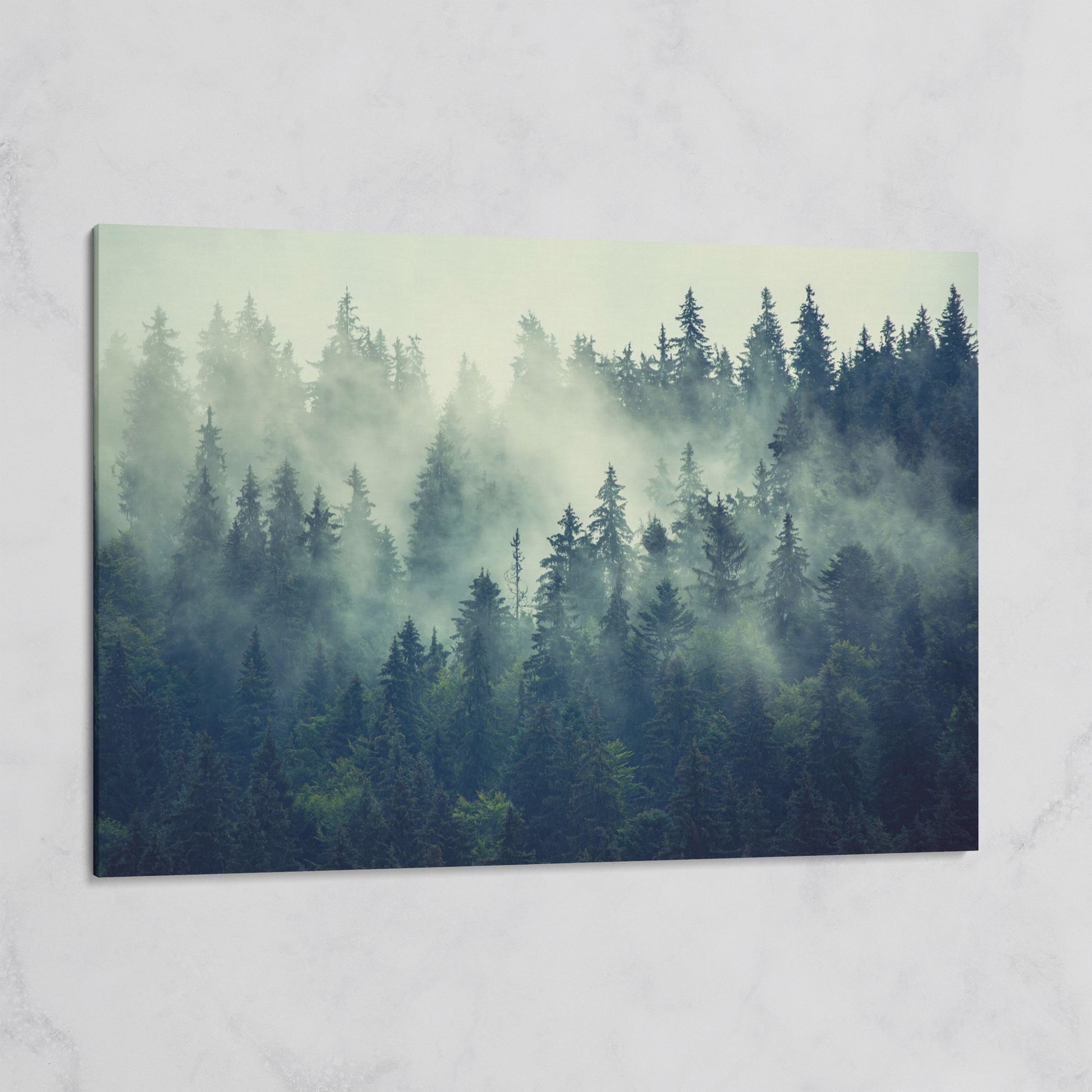 Foggy Forest Canvas Print with Mountain Vista on gallery wrap