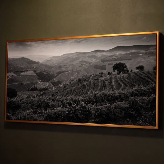 Douro Valley Vineyard Landscape Canvas shown in antique gold floating frame