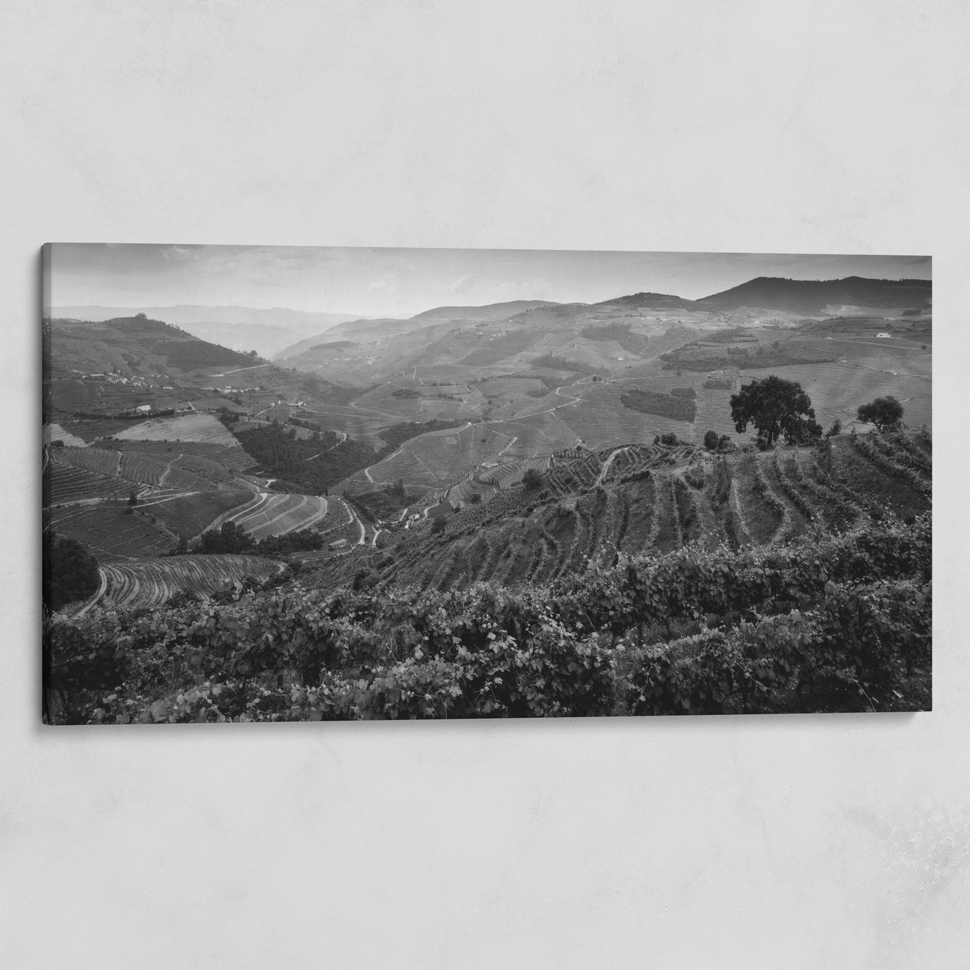 Douro Valley Vineyard Landscape Canvas on gallery wrap