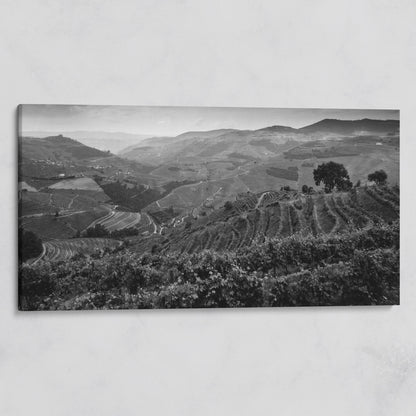 Douro Valley Vineyard Landscape Canvas on gallery wrap