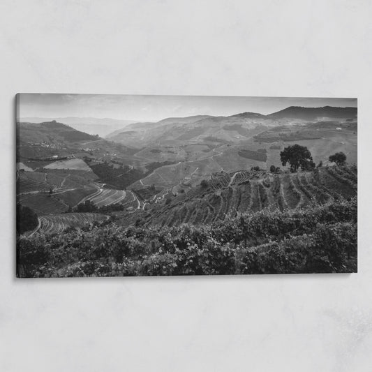 Douro Valley Vineyard Landscape Canvas on gallery wrap