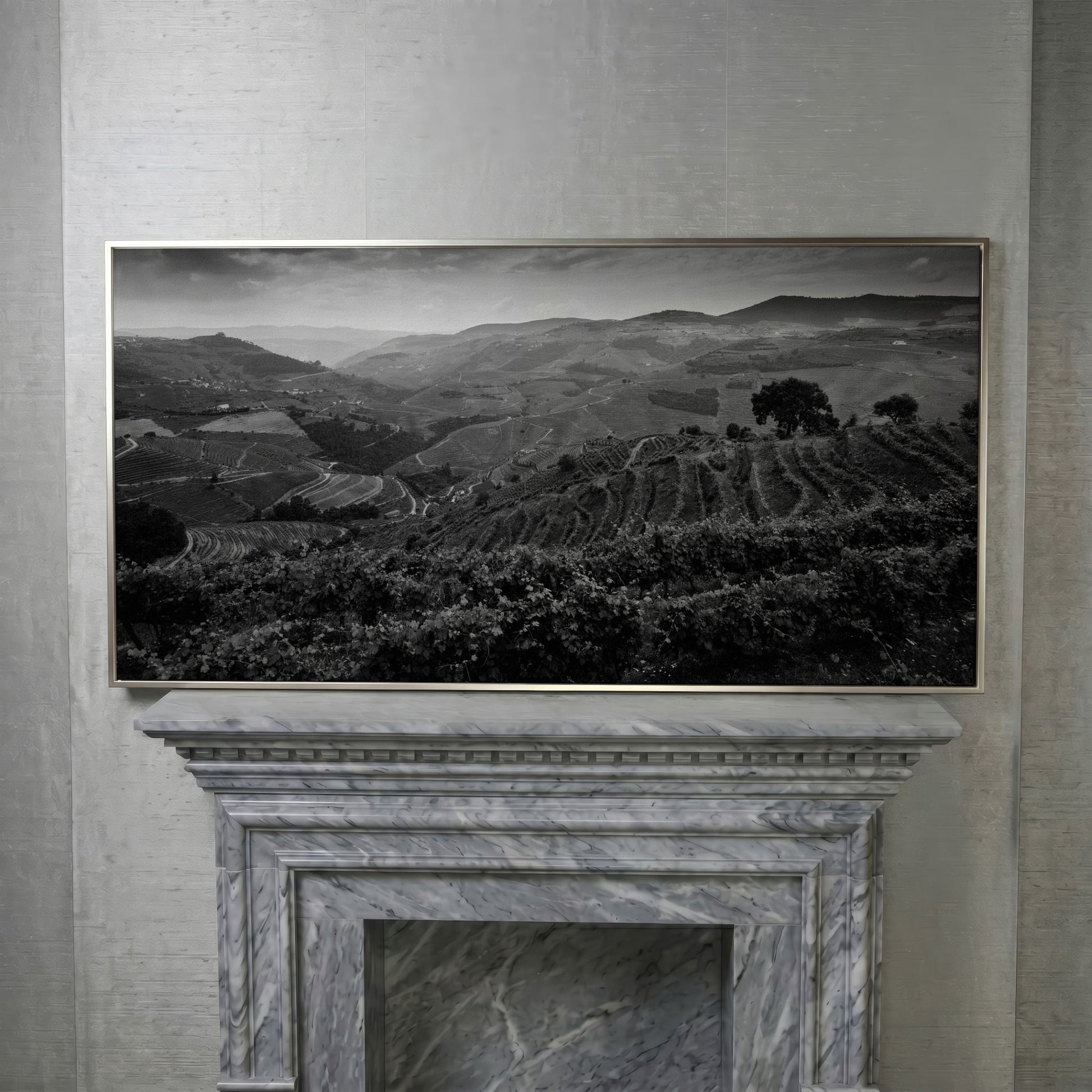 Douro Valley Vineyard Landscape Canvas in silver floating frame
