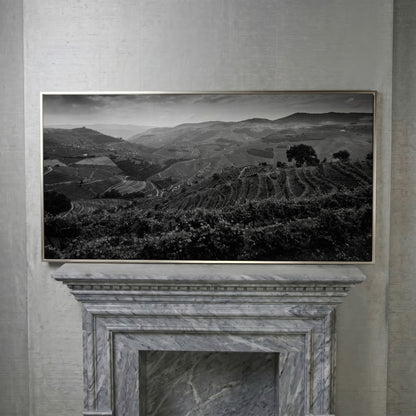 Douro Valley Vineyard Landscape Canvas in silver floating frame