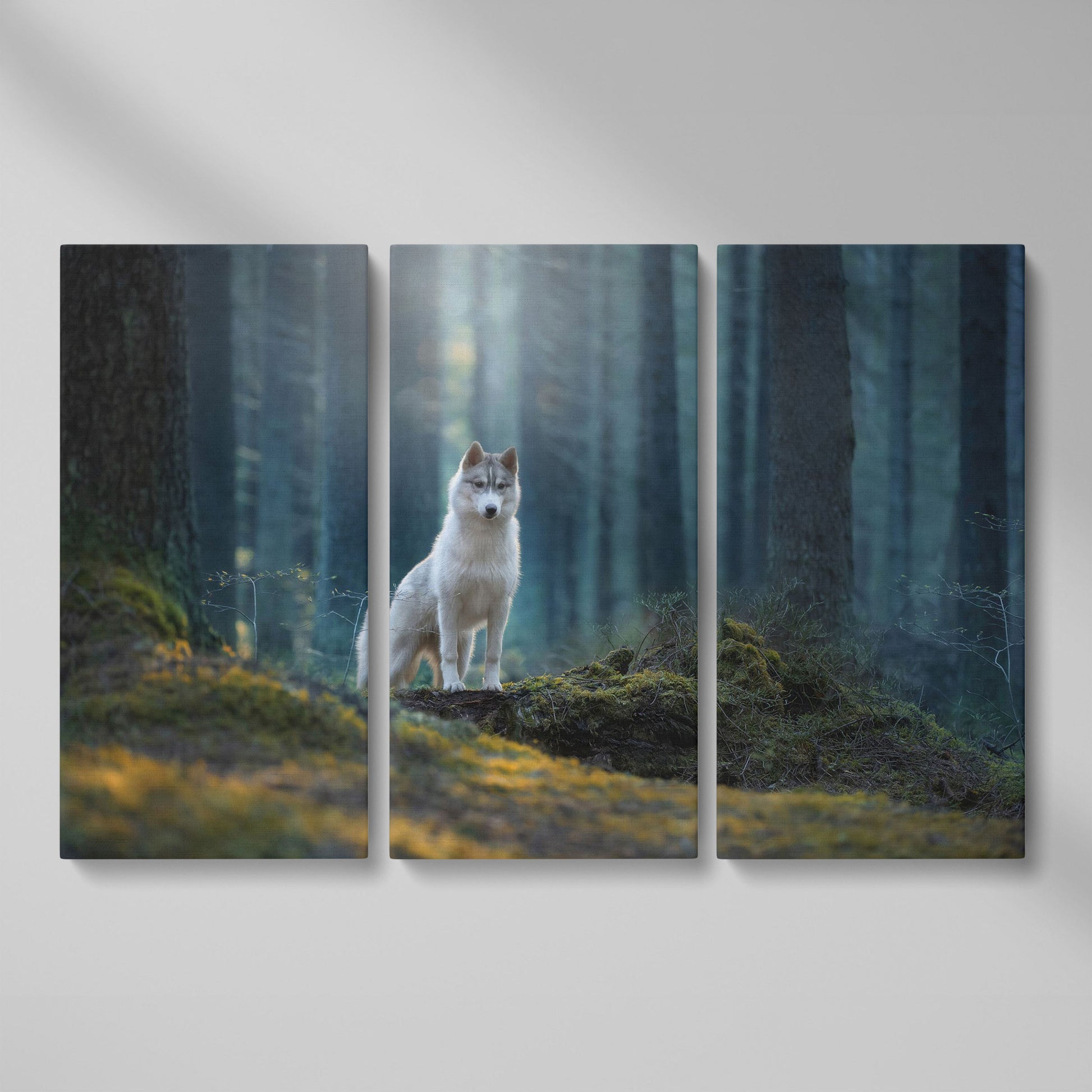 Siberian Husky in Winter Forest Canvas as 3-panel split version