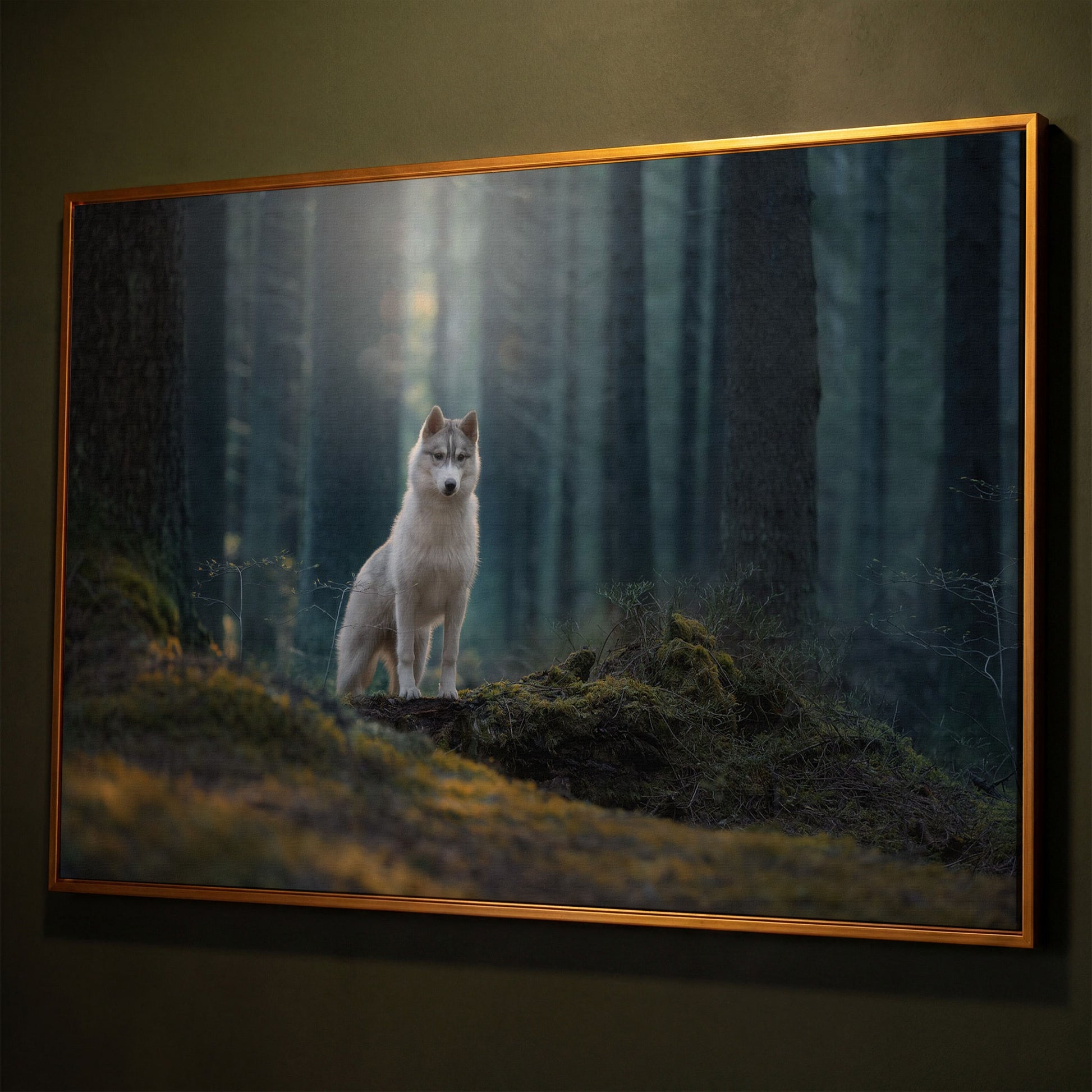 Siberian Husky in Winter Forest Canvas shown in antique gold floating frame