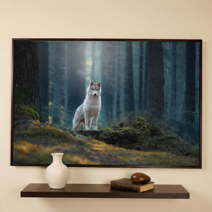 Siberian Husky in Winter Forest Canvas in dark walnut floating frame