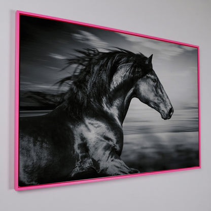 Black and White Running Horse Canvas in pink floating frame