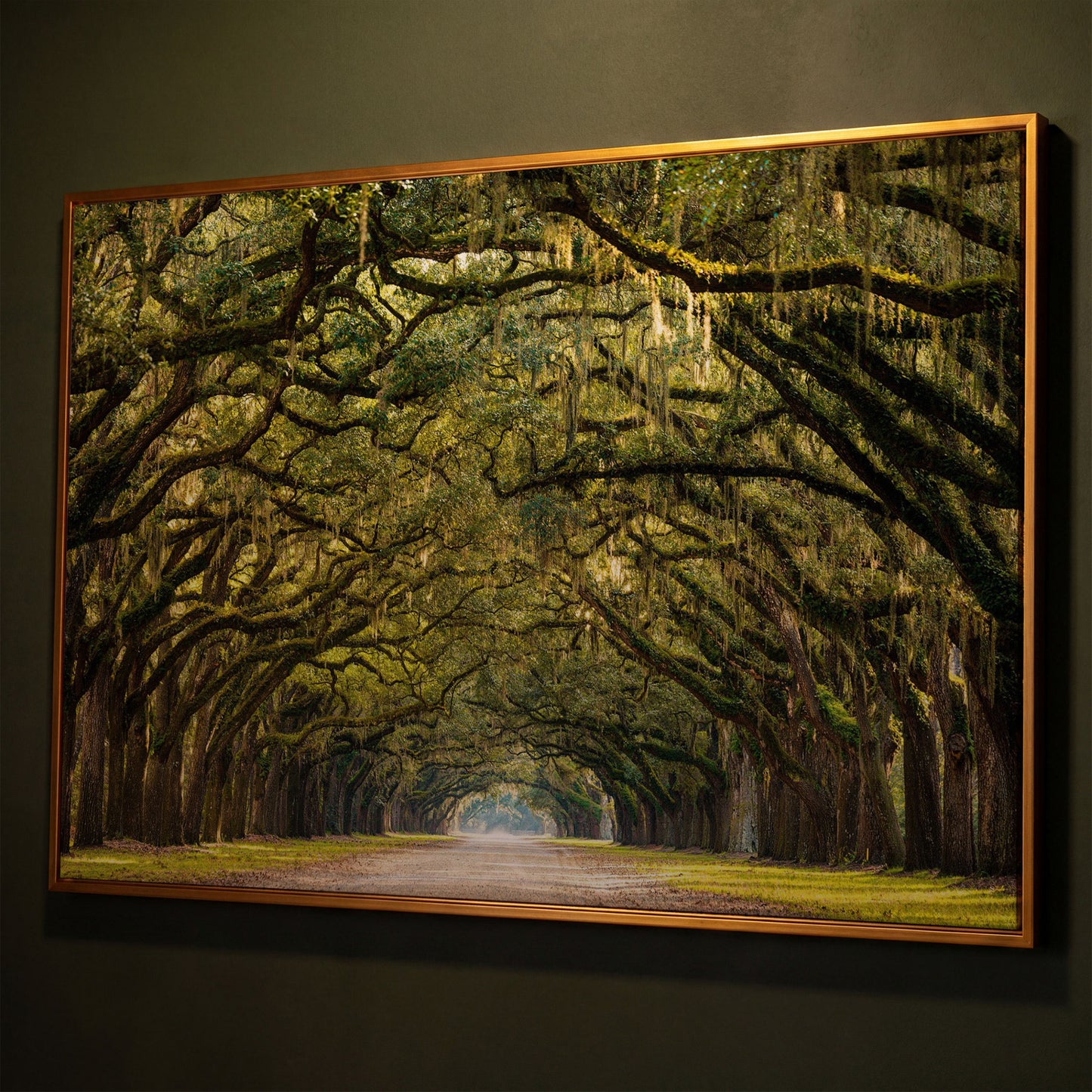 Line of Green Oak Trees Canvas Print shown in antique gold floating frame