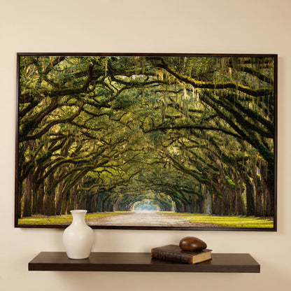 Line of Green Oak Trees Canvas Print in dark walnut floating frame