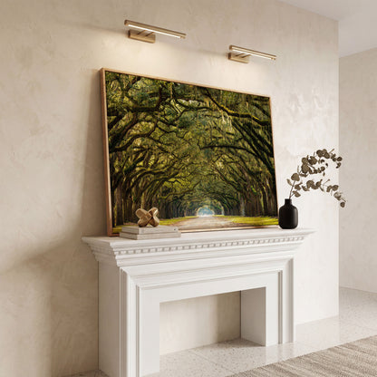 Line of Green Oak Trees Canvas Print in white oak floating frame