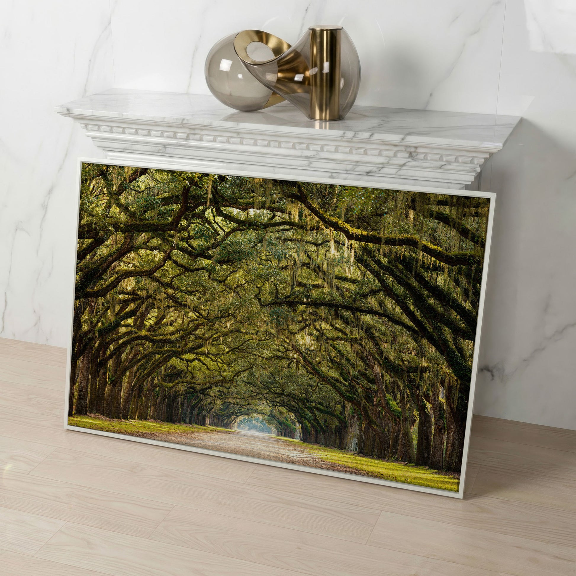 Line of Green Oak Trees Canvas Print in white floating frame