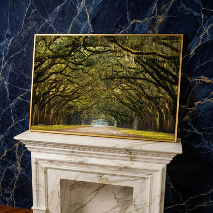 Line of Green Oak Trees Canvas Print in yellow gold floating frame