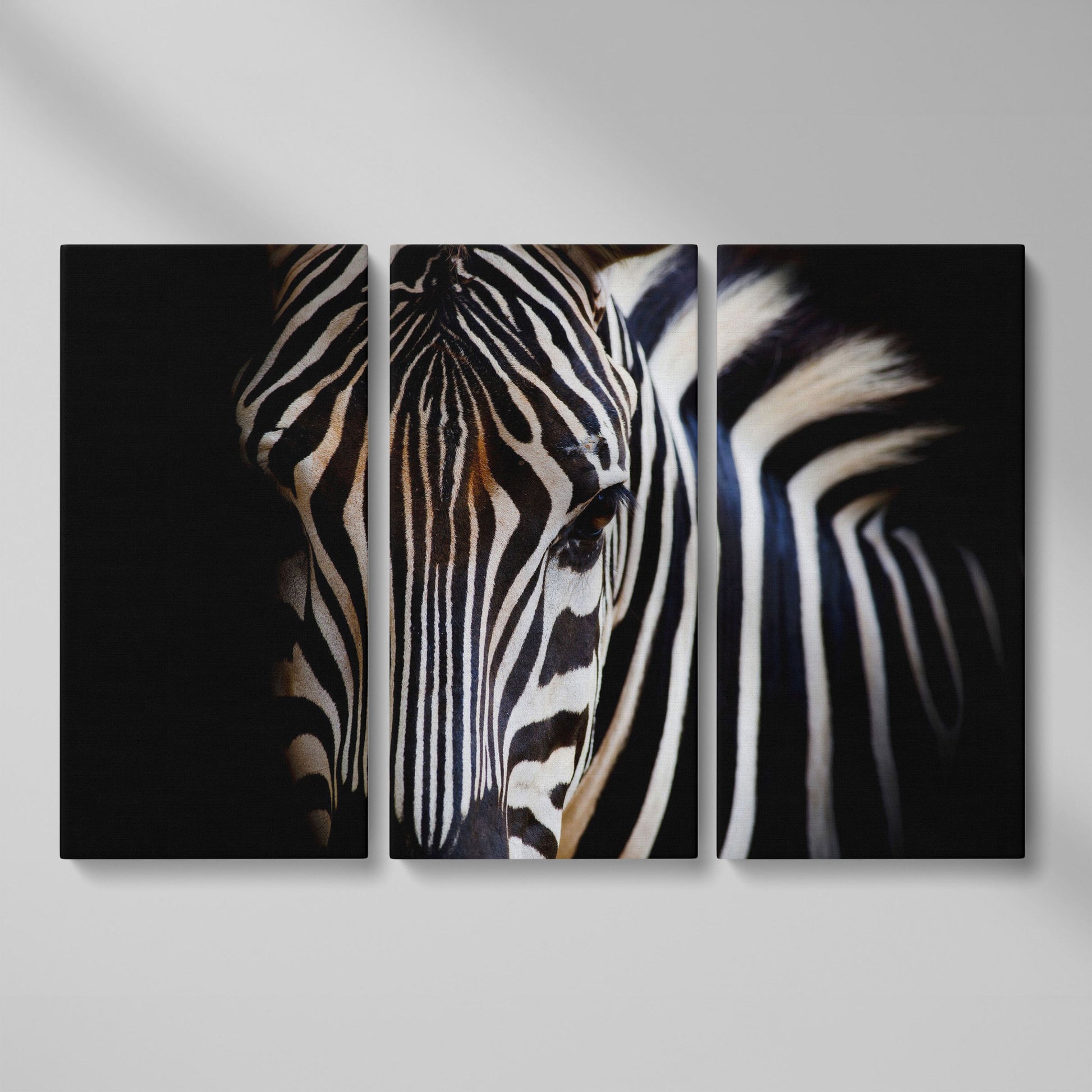 Black and White Zebra Portrait Canvas as 3-panel split version