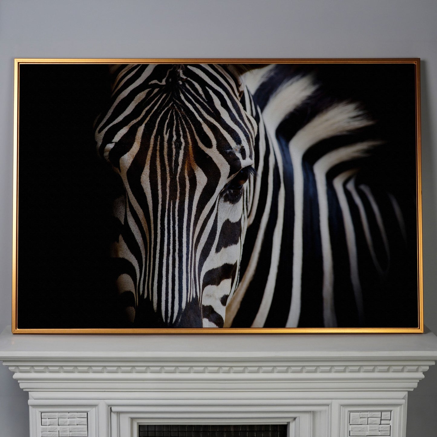 Black and White Zebra Portrait Canvas in antique gold floating frame