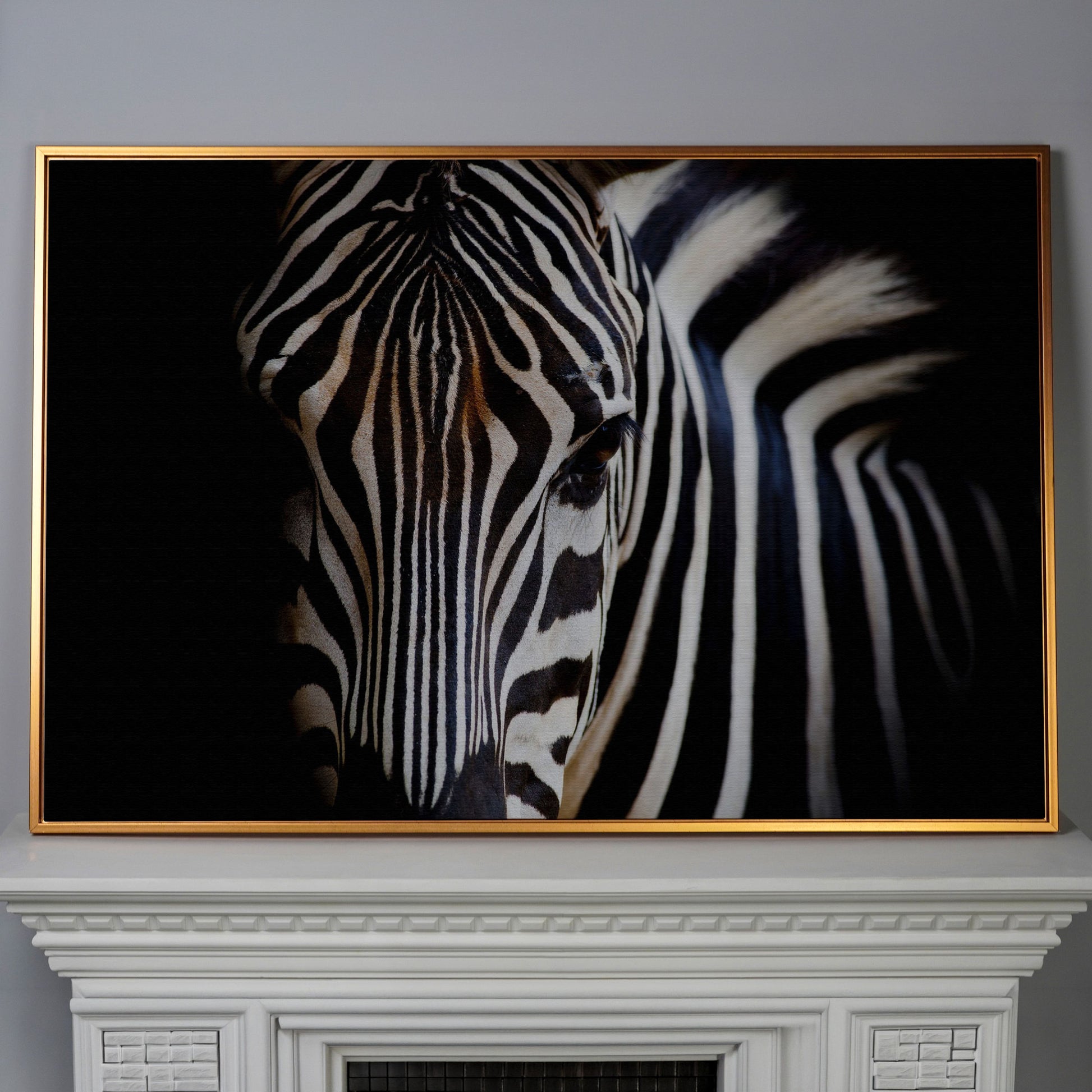 Black and White Zebra Portrait Canvas in antique gold floating frame