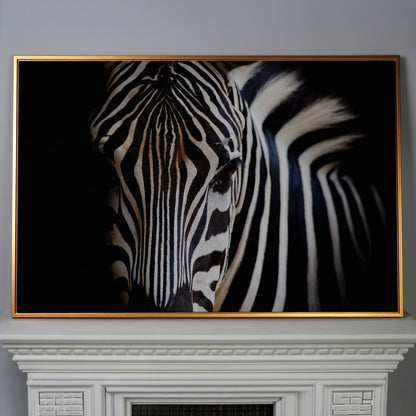 Black and White Zebra Portrait Canvas in antique gold floating frame