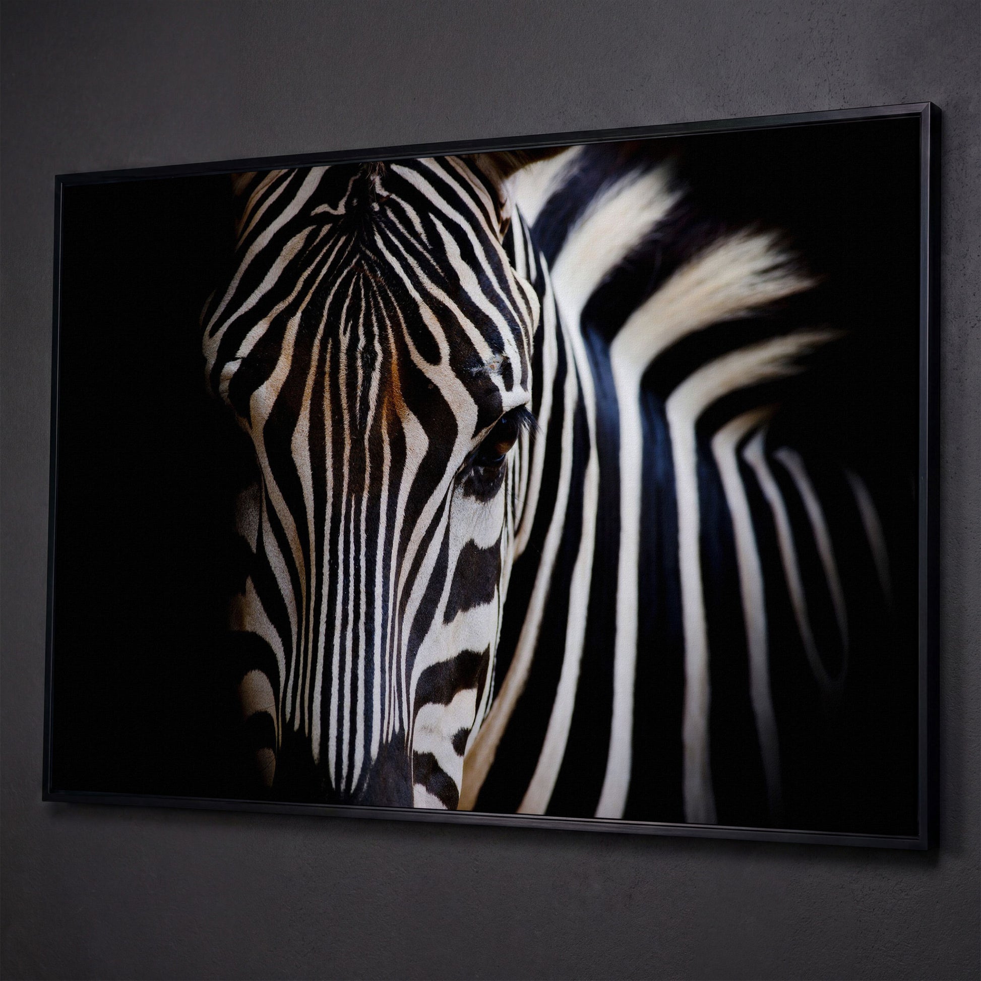 Black and White Zebra Portrait Canvas shown in black floating frame