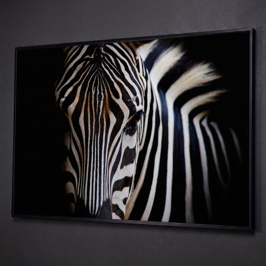 Black and White Zebra Portrait Canvas shown in black floating frame