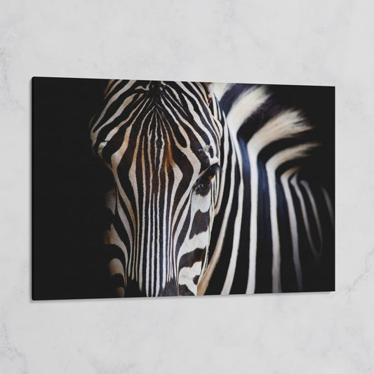 Black and White Zebra Portrait Canvas on gallery wrap
