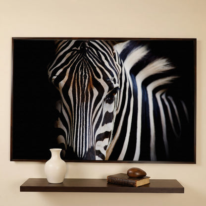Black and White Zebra Portrait Canvas in dark walnut floating frame