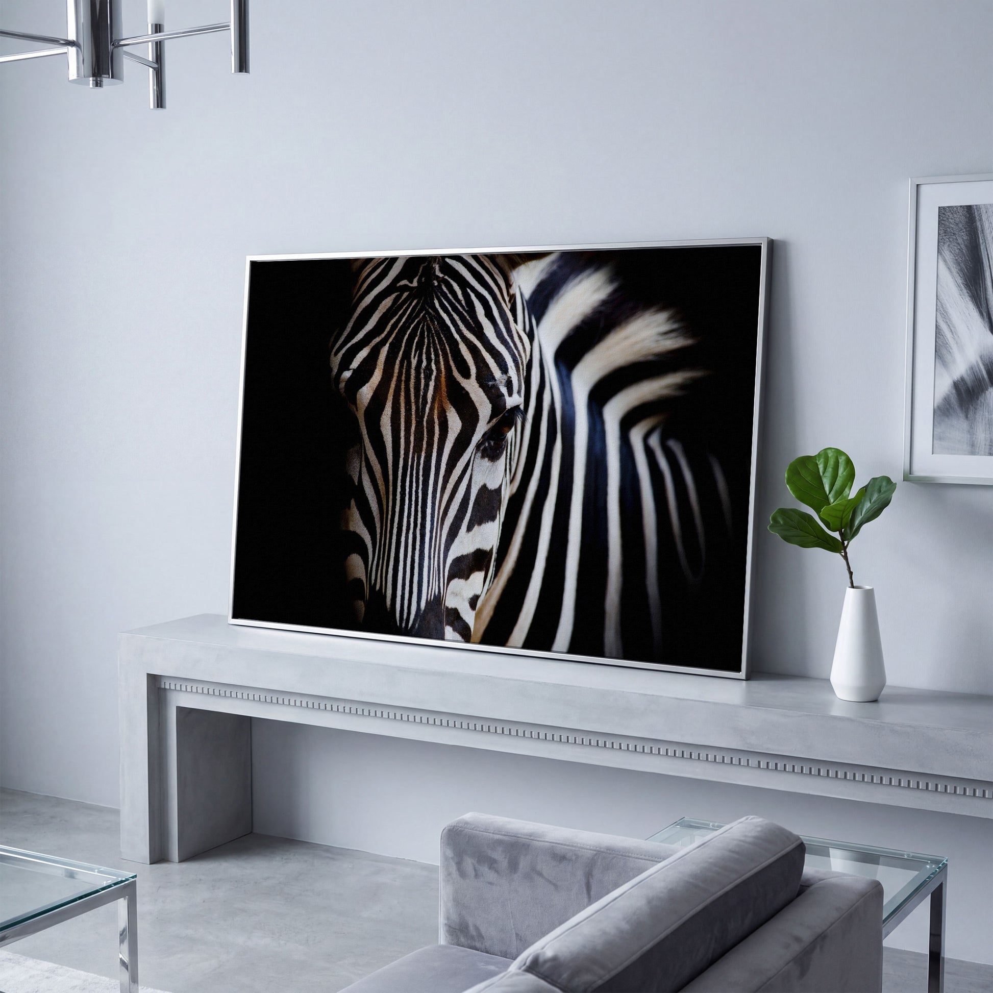 Black and White Zebra Portrait Canvas in silver floating frame