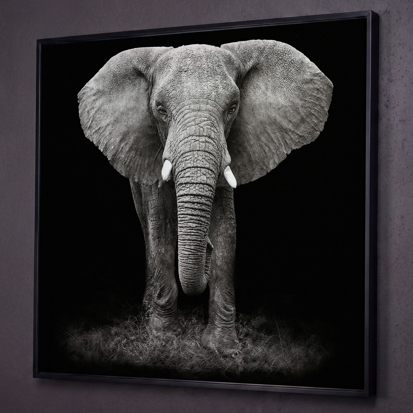 African Elephant Canvas Print, Black and White shown in black floating frame