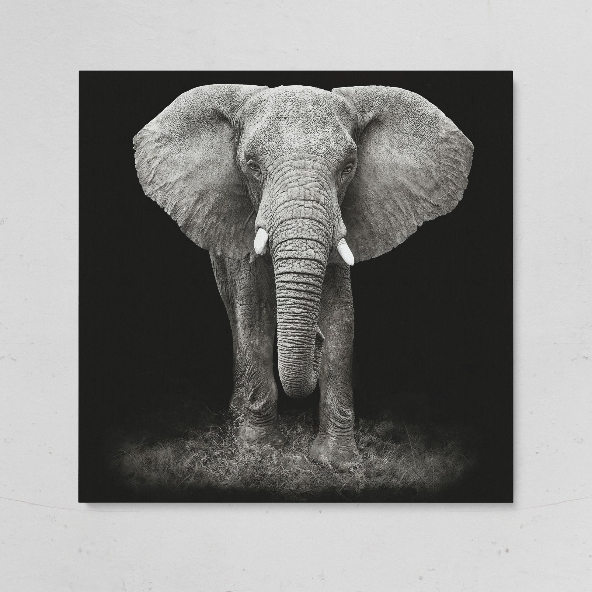 African Elephant Canvas Print, Black and White on gallery wrap
