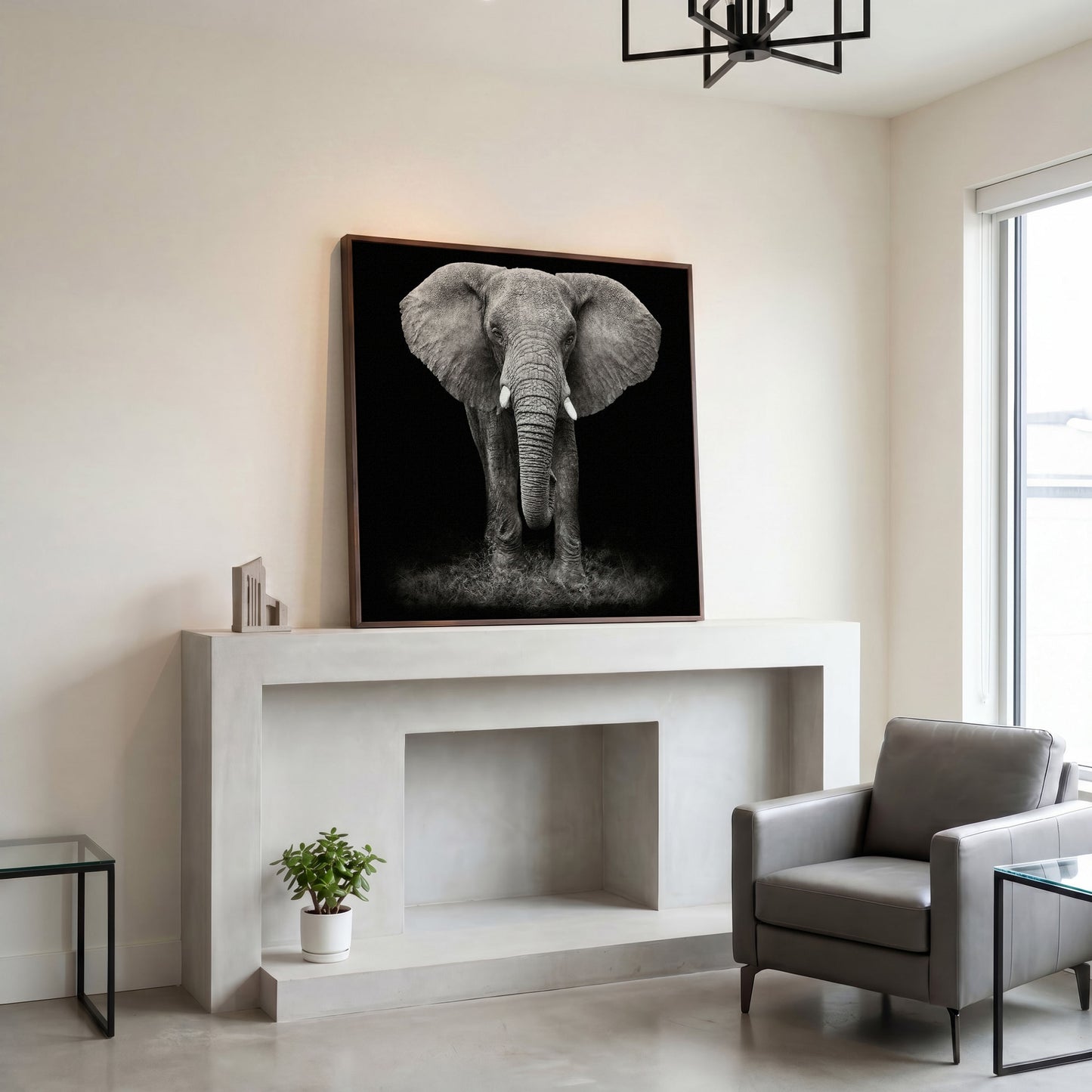 African Elephant Canvas Print, Black and White in dark walnut floating frame