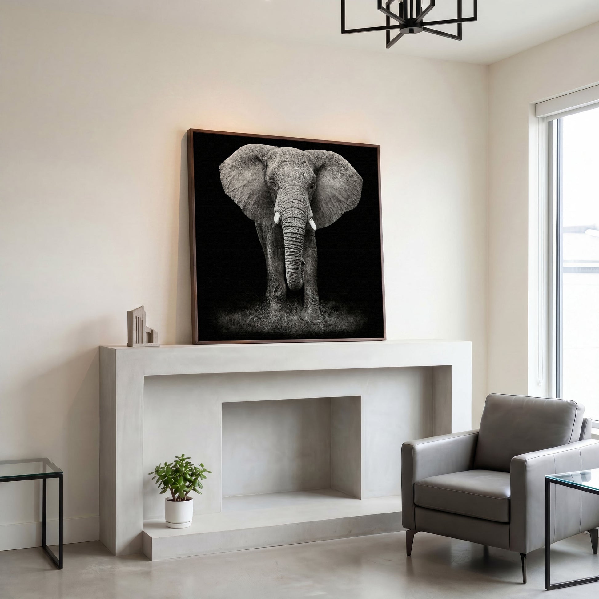 African Elephant Canvas Print, Black and White in dark walnut floating frame