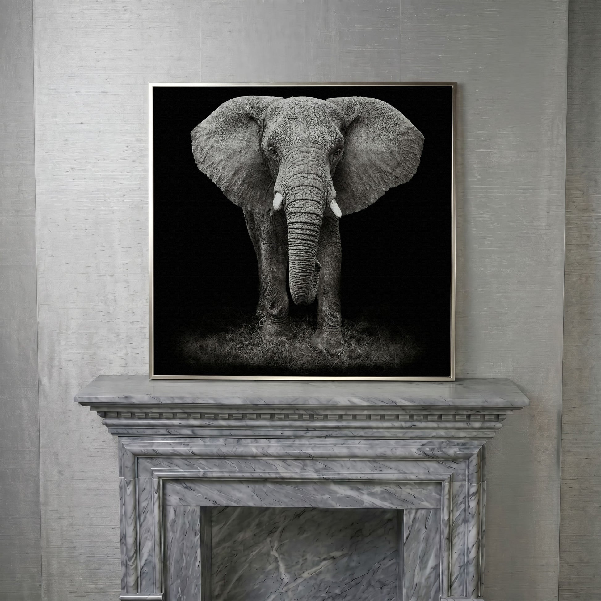 African Elephant Canvas Print, Black and White in silver floating frame
