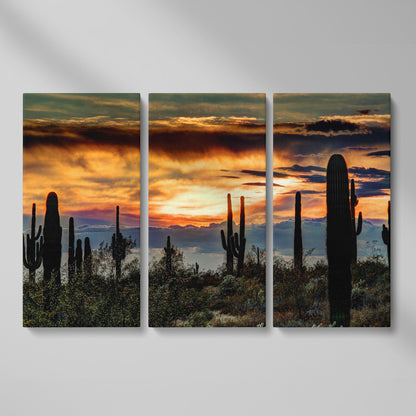 Sonoran Desert Sunset with Saguaro Cactus Canvas as 3-panel split version