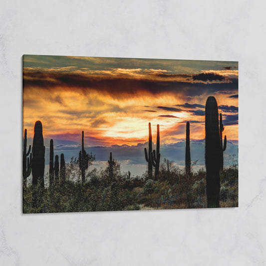 Sonoran Desert Sunset with Saguaro Cactus Canvas on gallery wrap