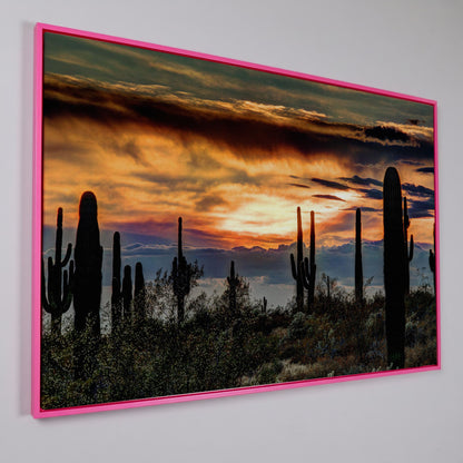 Sonoran Desert Sunset with Saguaro Cactus Canvas in pink floating frame