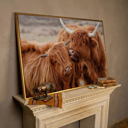 Scottish Highlanders Canvas Print in rose gold floating frame