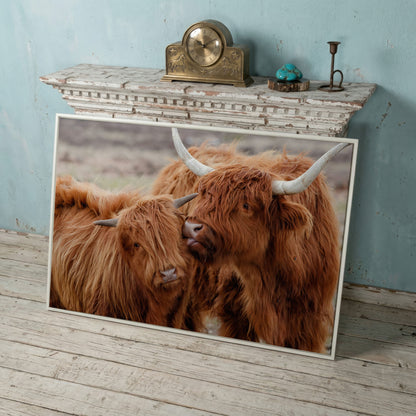 Scottish Highlanders Canvas Print in white floating frame