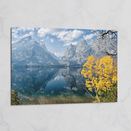 Grand Teton Fall Colors Canvas on gallery wrap