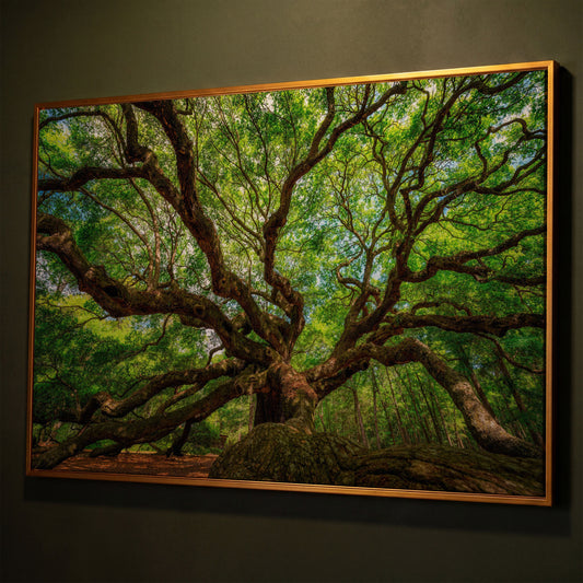 Angel Oak Canvas Print. Charleston Park Landmark shown in antique gold floating frame
