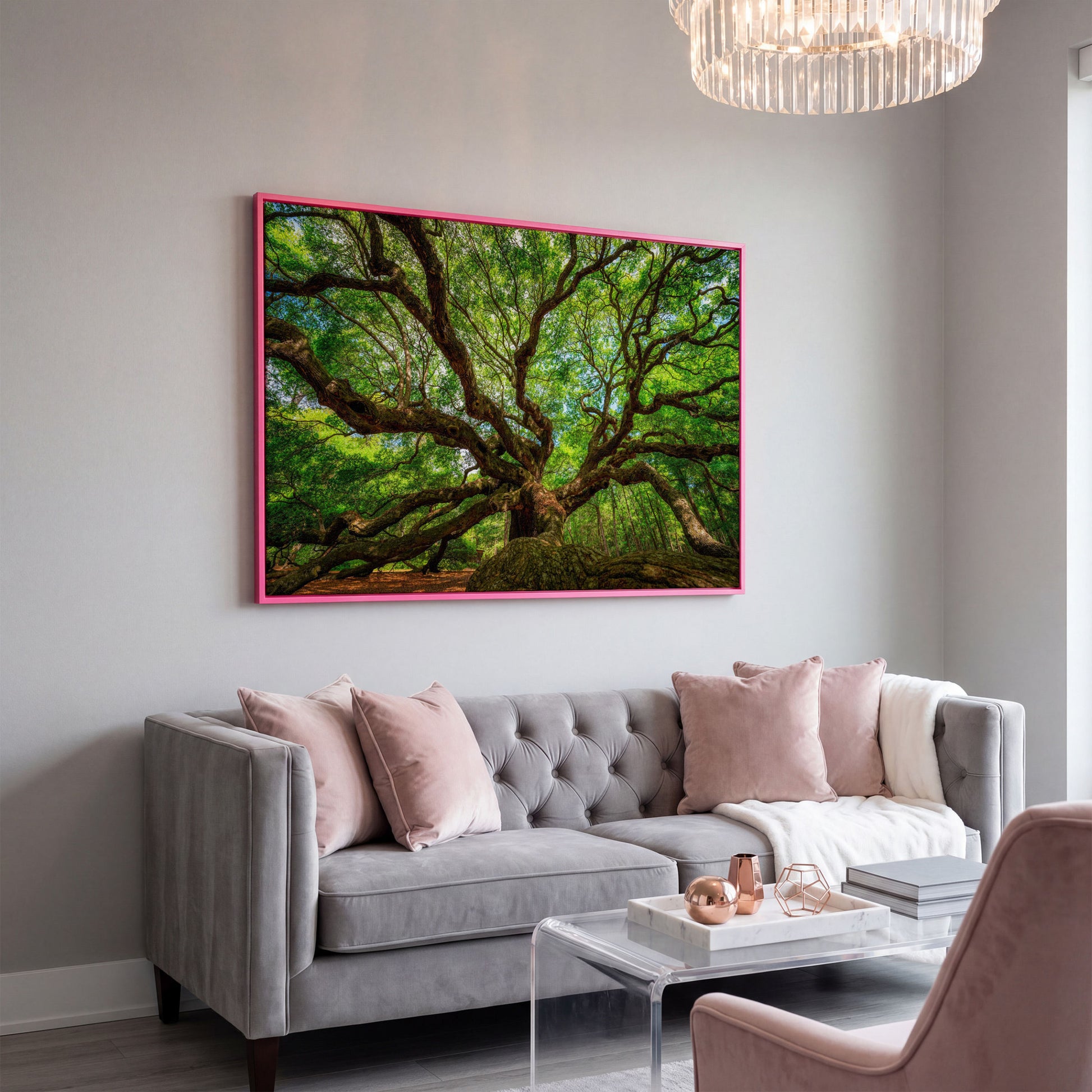 Angel Oak Canvas Print. Charleston Park Landmark in pink floating frame