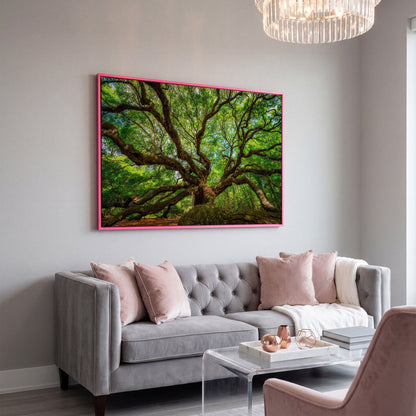 Angel Oak Canvas Print. Charleston Park Landmark in pink floating frame