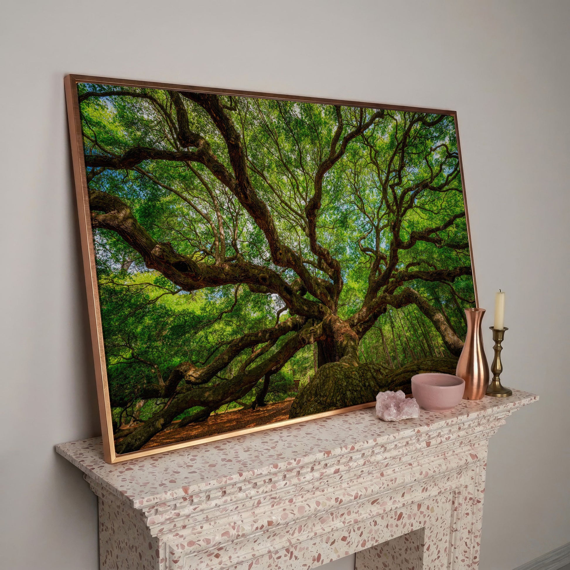 Angel Oak Canvas Print. Charleston Park Landmark in rose gold floating frame