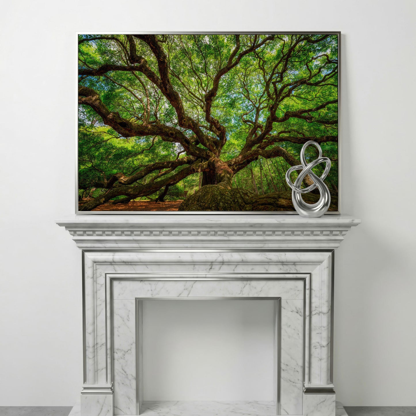Angel Oak Canvas Print. Charleston Park Landmark in silver floating frame