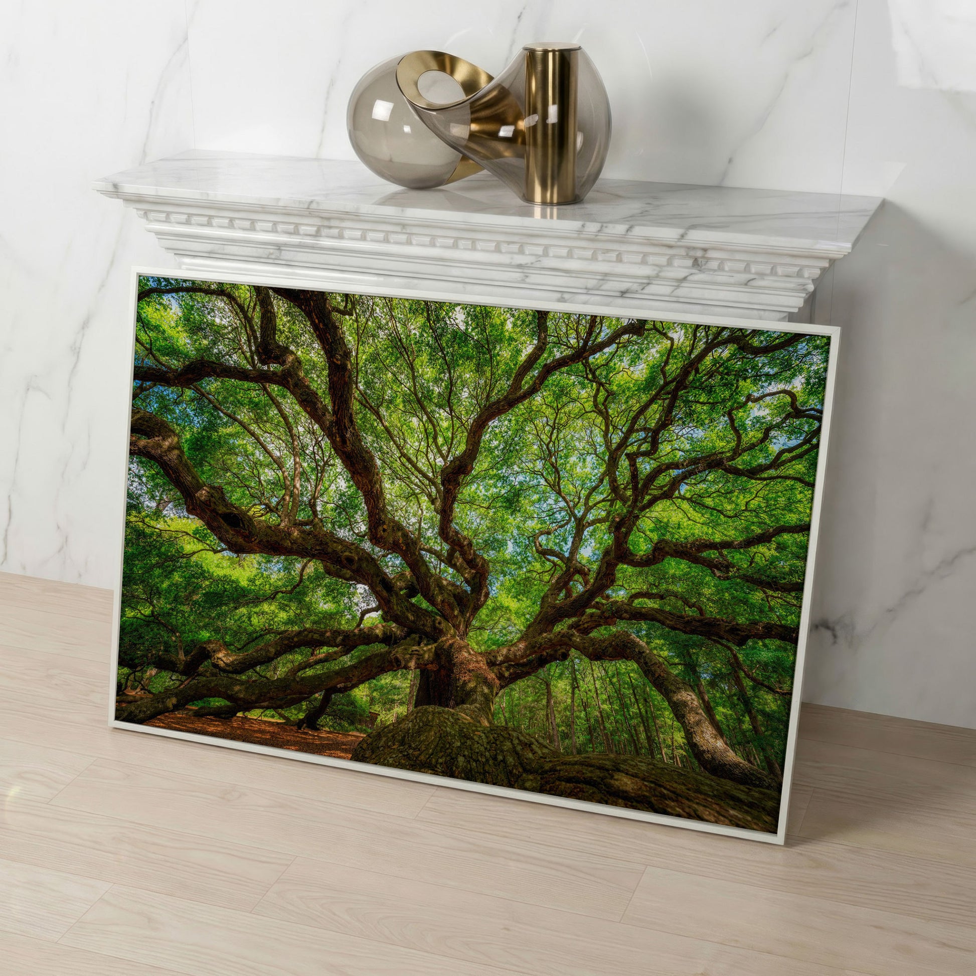 Angel Oak Canvas Print. Charleston Park Landmark in white floating frame