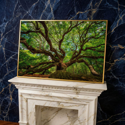 Angel Oak Canvas Print. Charleston Park Landmark in yellow gold floating frame