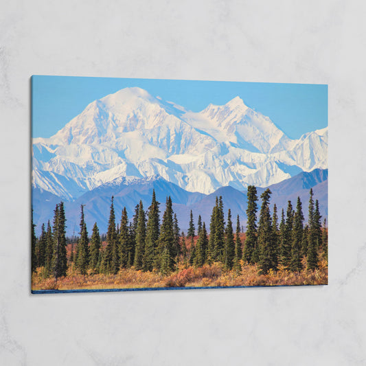 Denali Mountain Landscape Canvas on gallery wrap