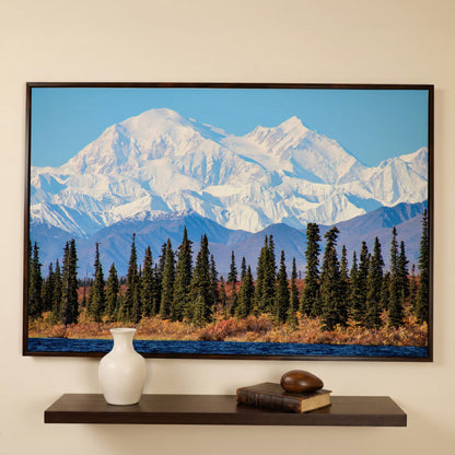 Denali Mountain Landscape Canvas in dark walnut floating frame