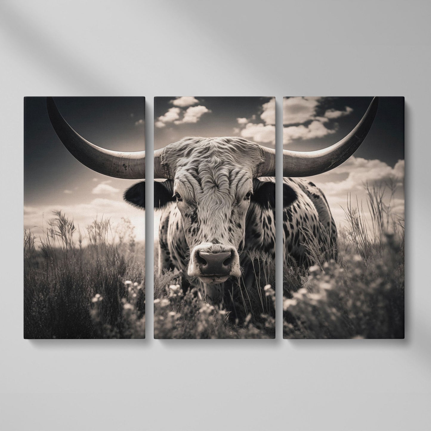 Texas Longhorn Canvas Print in Black and White as 3-panel split version
